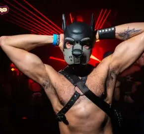 BRÜT + CircuitMom = ZENTRØ